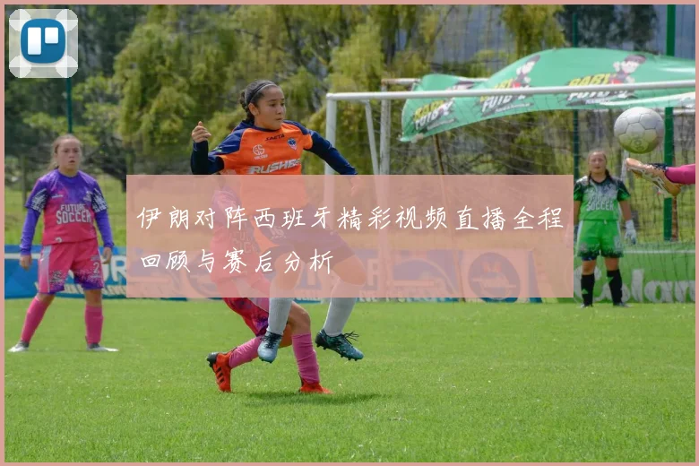伊朗对阵西班牙精彩视频直播全程回顾与赛后分析