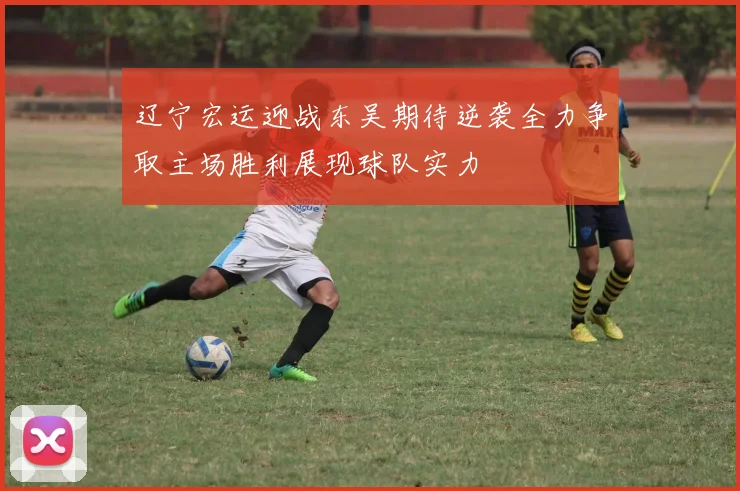 辽宁宏运迎战东吴期待逆袭全力争取主场胜利展现球队实力