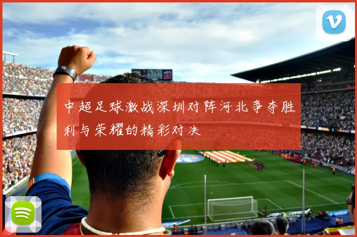 中超足球激战深圳对阵河北争夺胜利与荣耀的精彩对决