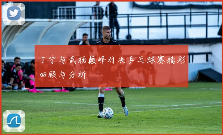 丁宁与武杨巅峰对决乒乓球赛精彩回顾与分析